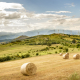 Wind farm in Basilicata – Italy